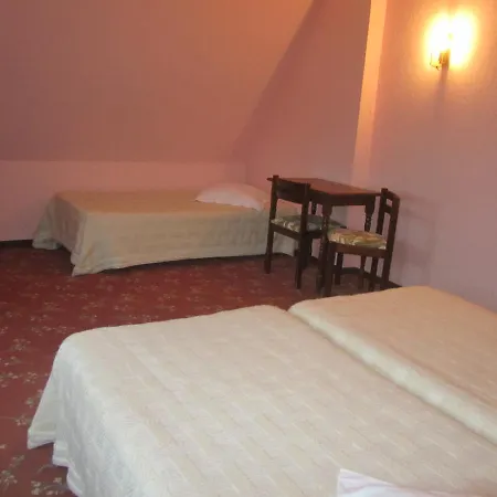 Hotel Hotel Restaurant L'Ecu D'Alsace 3*