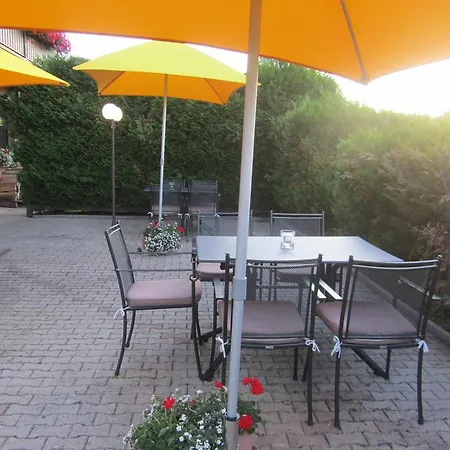 Hotel Restaurant L'Ecu D'Alsace Hotel 3*